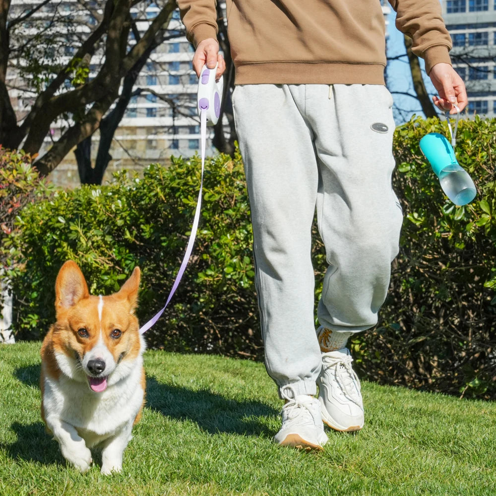 Portable Pet Water Bottle 300ML – Dogs & Cats