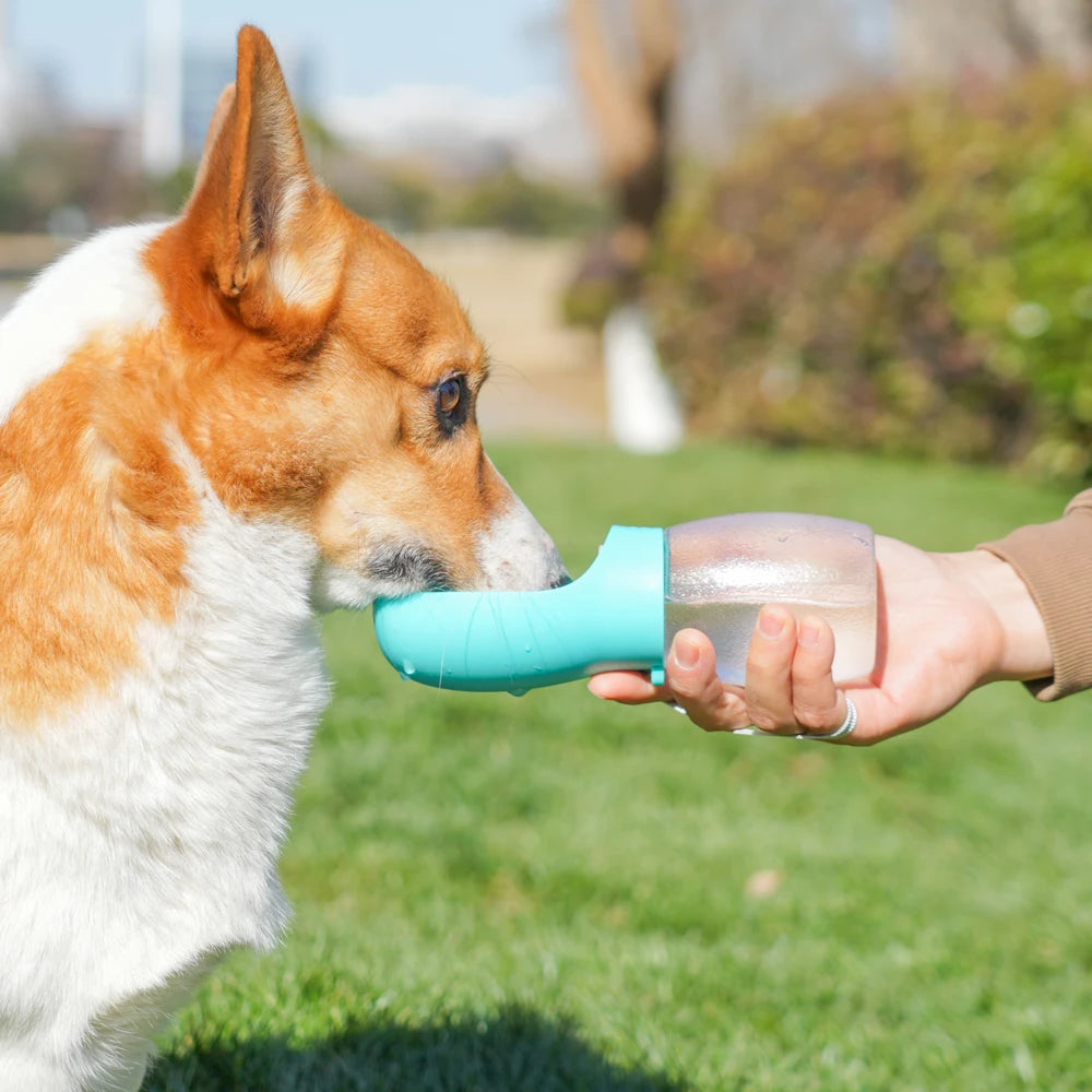 Portable Pet Water Bottle 300ML – Dogs & Cats