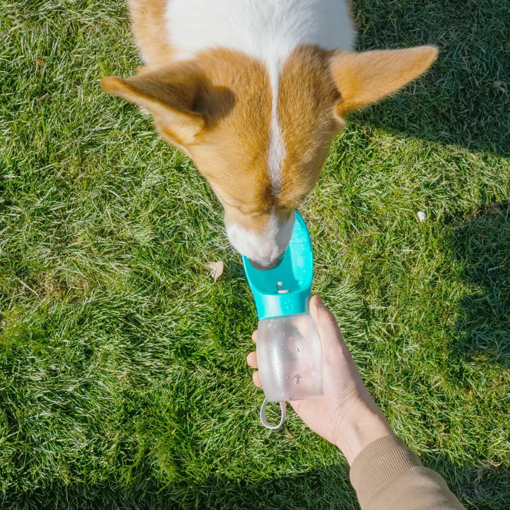 Portable Pet Water Bottle 300ML – Dogs & Cats
